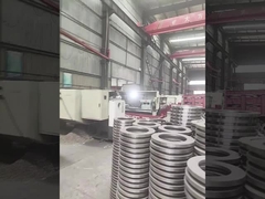 Большой шахты подъемный диск тормозный диск пружинный стиральщик для Citicic лебедки