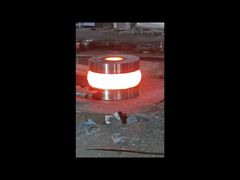 Двойное направление P0 сплющило подшипник мельницы металла толкнутых подшипников