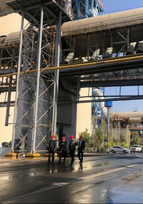 6.0x95m 12000t/d цементируют роторную печь для применений минералов отростчатых